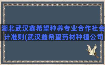 湖北武汉鑫希望种养专业合作社会计准则(武汉鑫希望药材种植公司)